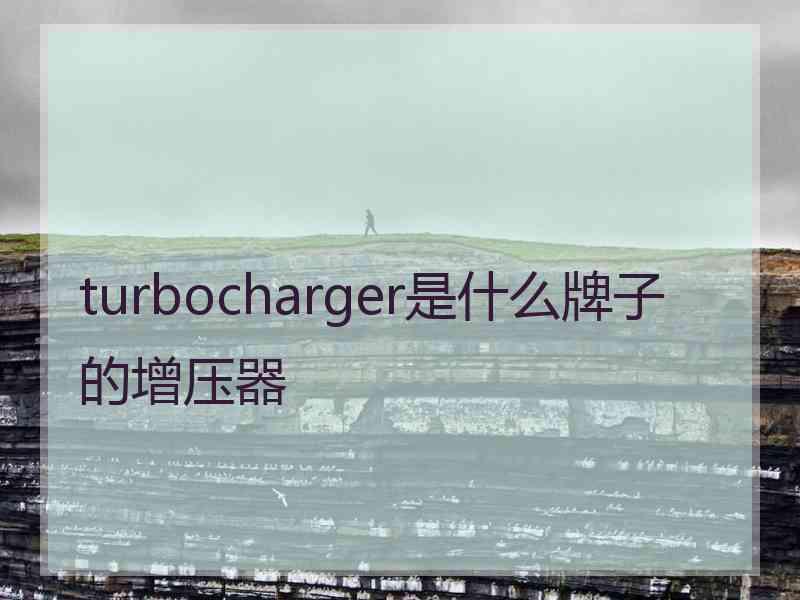 turbocharger是什么牌子的增压器